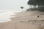 Ghana 2011 018