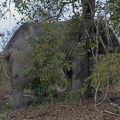 29Dez2011 0220