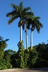 Chichen Itza 02