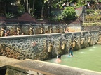 Bali 126