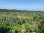 Bali 132
