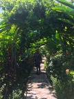 Bali 165