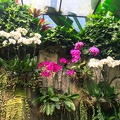 Bali 168