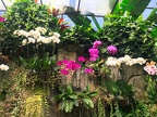 Bali 168